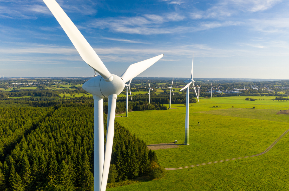 Wind, Solar Energy Outpace Fossil Fuels in EU Electricity Production in First Half of 2024