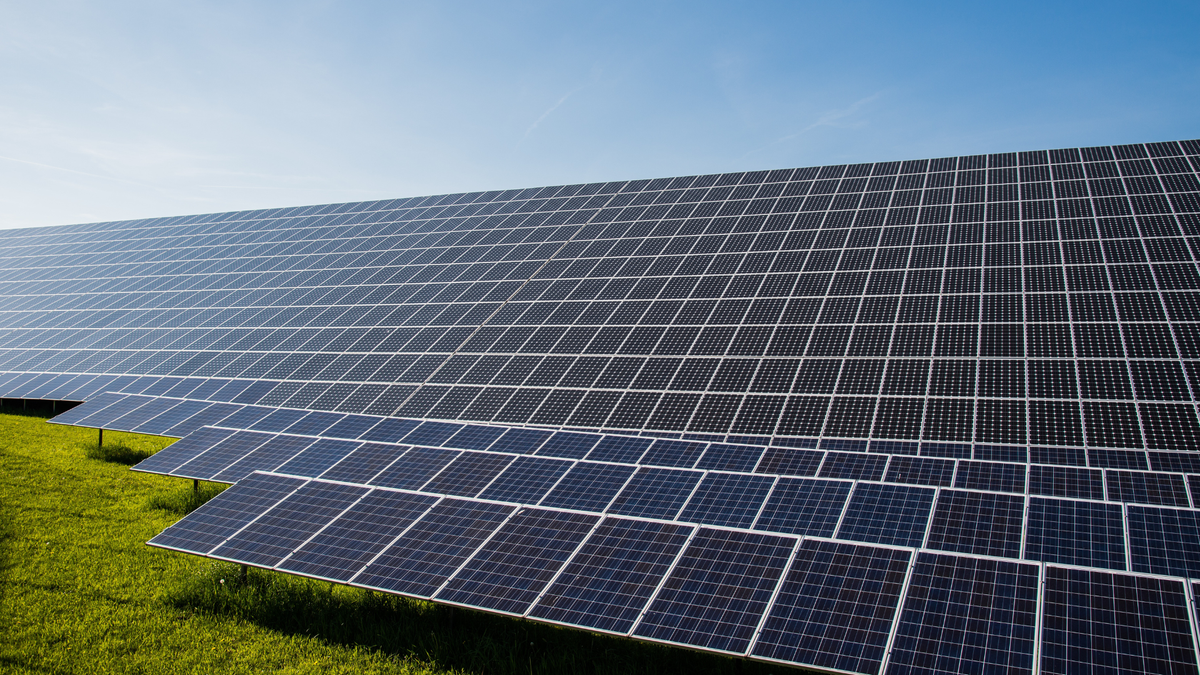 Greenyard Logistics Polska to Install 2 MWp Solar System at Żabia Wola Facility Using PV-as-a-Service Model