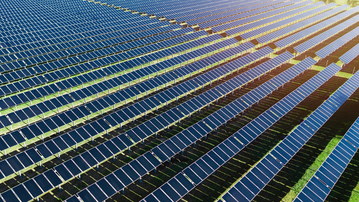 Allview Signs €24.6 Million Deal for 45 MW Solar Park in Ialomița