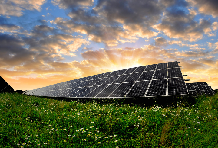 Canadian Solar launches seven Romanian firms to develop large-scale photovoltaic parks